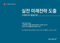 실전 미래전략 도출(공저)
