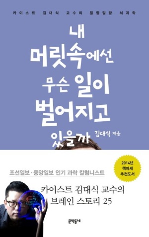 내 머릿속에선 무슨 일이 벌어지고 있을까 (카이스트 김대식 교수의 말랑말랑 뇌과학)